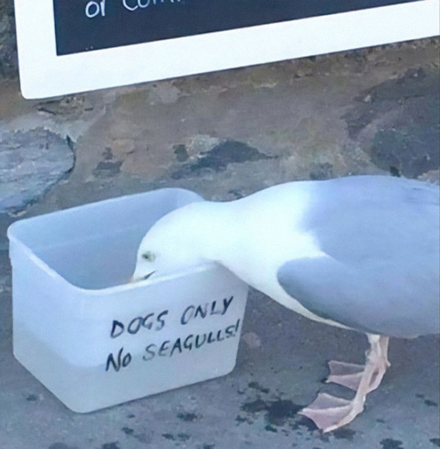 20.