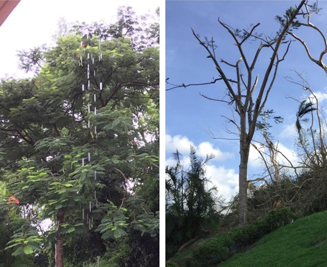 Dvorište jedne bake u Portoriku prije i poslije uragana Harvey i Irma
