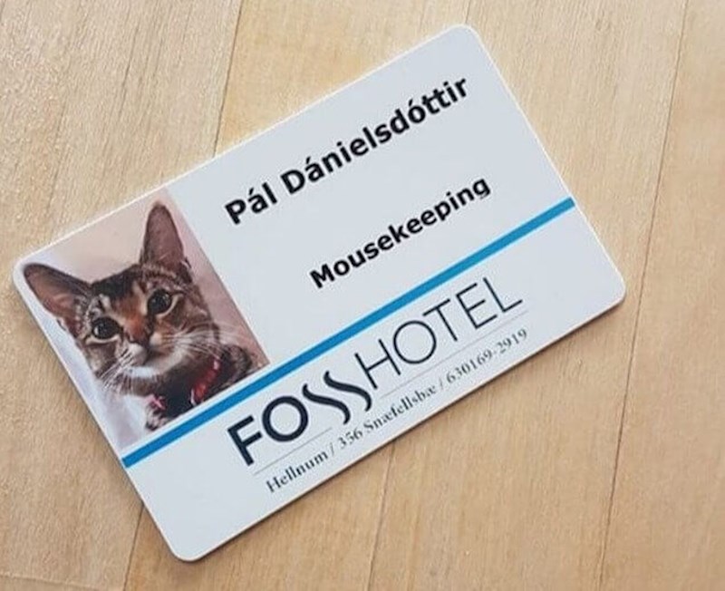 Mala igra riječi dovoljna je da gosti ostanu oduševljeni!