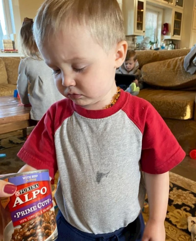 Ljut je jer mu ne dopuštamo da jede pasju hranu