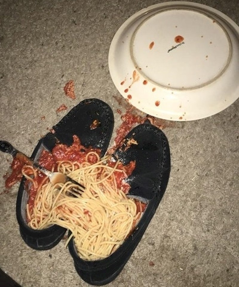 Šteta, izgleda slasno!