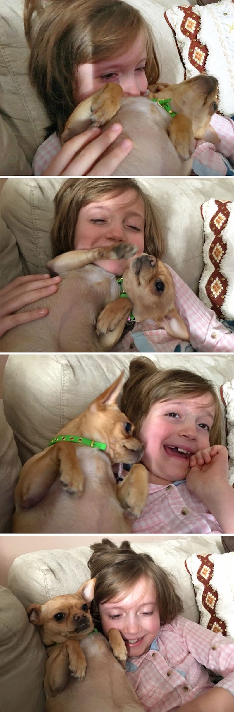 "Naše dijete ima nekoliko težih dijagnoza i ovaj psić je jedino biće koje je može nasmijati kada ima težak dan"