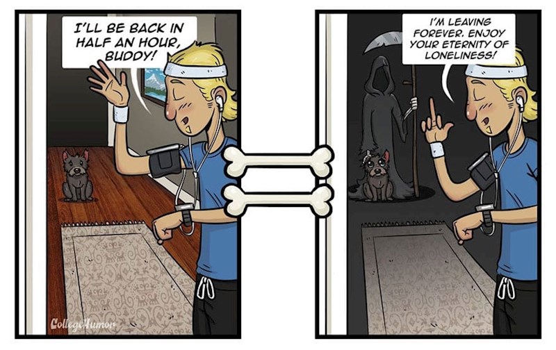 4. ...a ovo je u njihovoj glavi kada odlazite iz kuće!