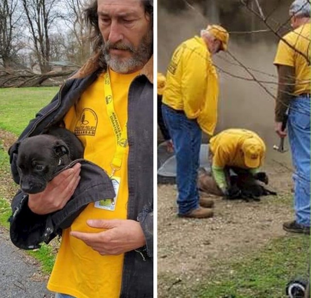 Psić spašen iz goruće kuće kojem su vatrogasci spasili život umjetnim disanjem