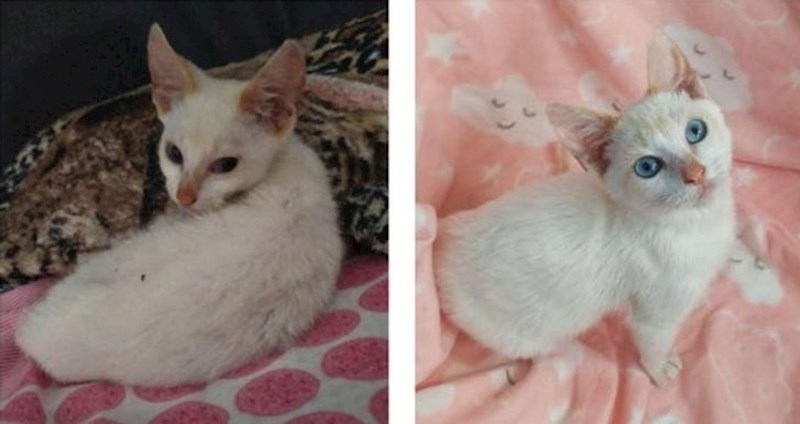 Razlika između prve i druge fotke- mjesec dana maženja i paženja