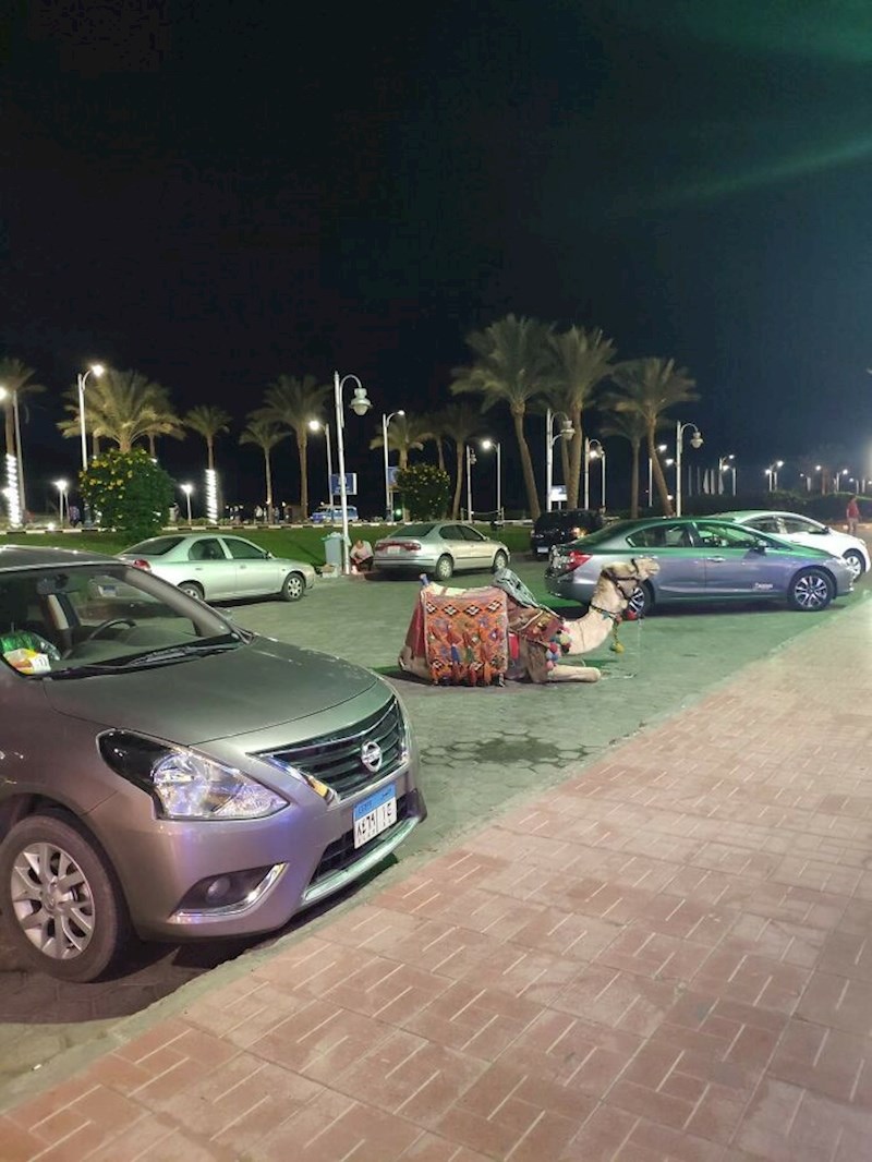 Zauzela je svoje parkirno mjesto