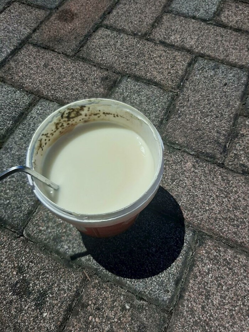 Gljivice su se stvorile u kanti boje za zid kojeg moramo prebojiti jer su se na njemu stvorile gljivice :D