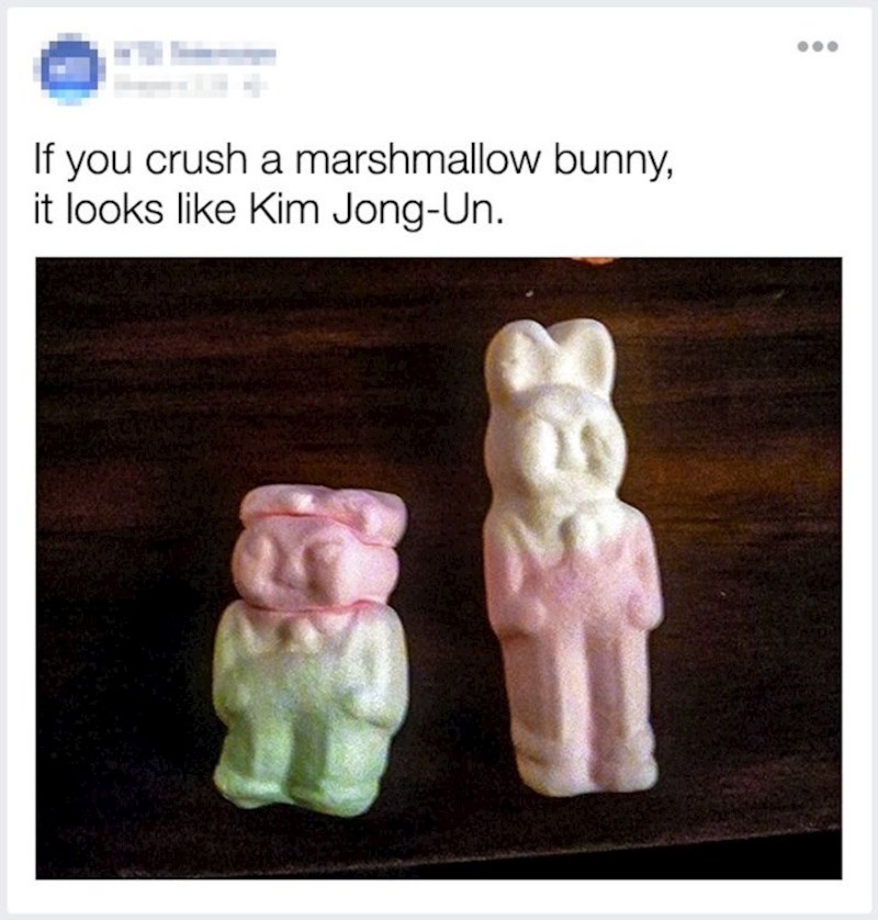 Ovaj zeko izgleda ko Kim Jong-Un kada ga se zgnječi