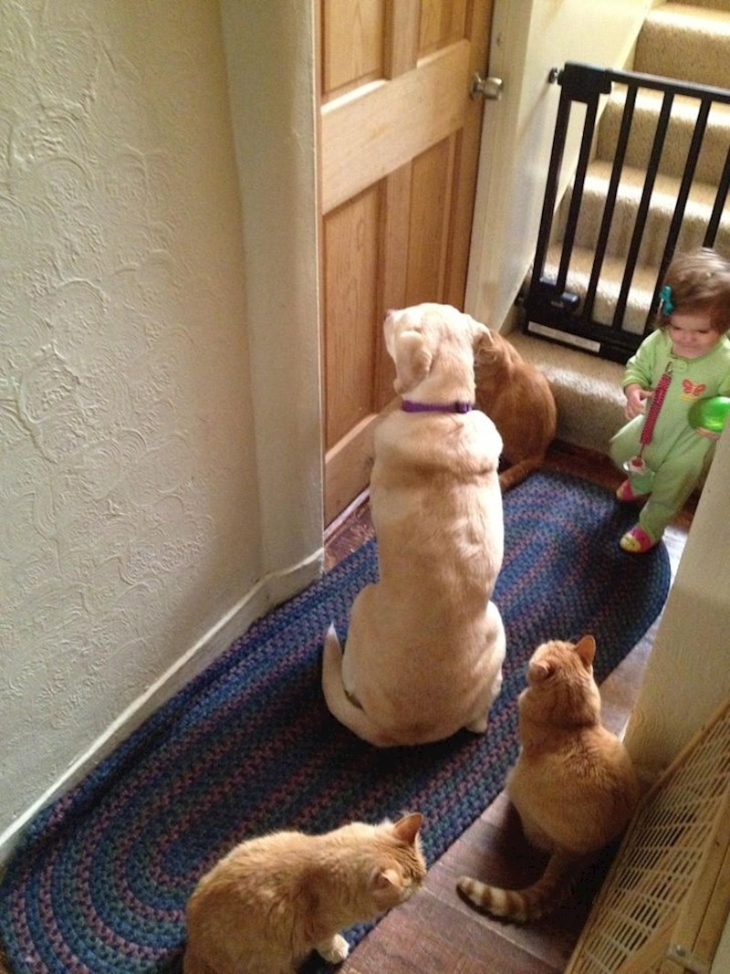 "Žena je poželjela 5 minuta za sebe. Ovo je trenutno stanje ispred njene sobe"