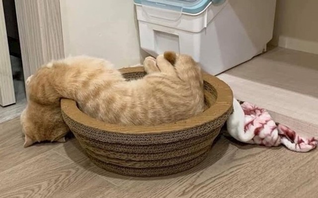 5.