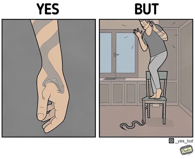 5.