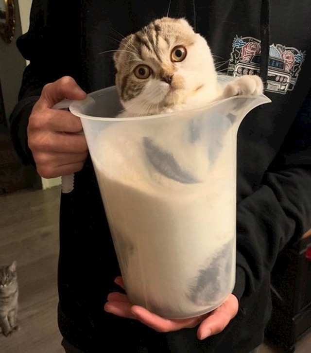 10.