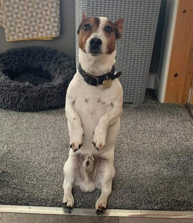 "Kada uđem u WC bez njega"