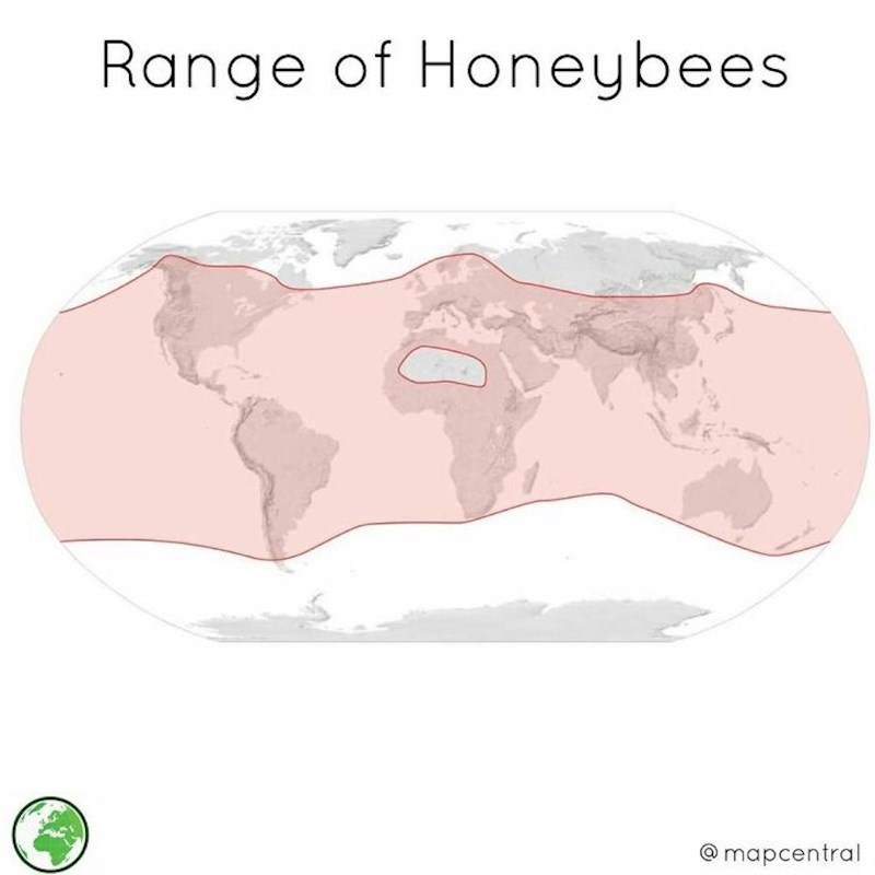 Pčele žive u dijelovima označenim crvenom bojom