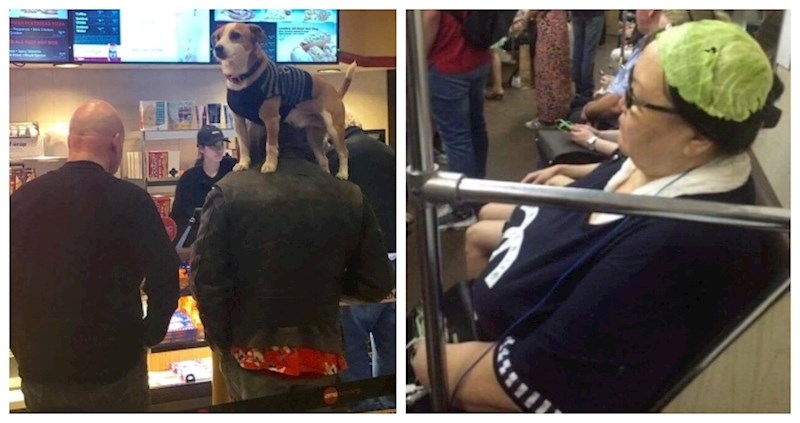 17 osoba koje znaju kako ostati cool u baš svakoj situaciji