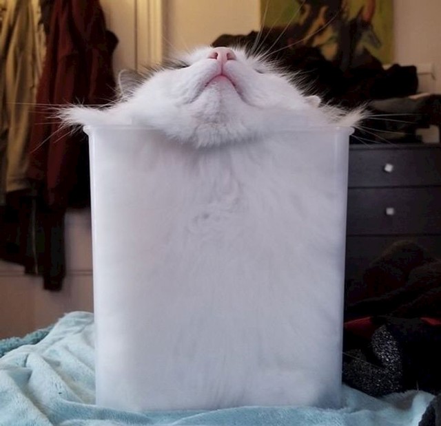 13.
