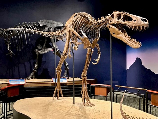 "Morao sam otpustiti zaposlenicu muzeja jer je posjetiteljima govorila da su dinosauri izmišljeni jer ne postoji biće koje može rigati vatru"
