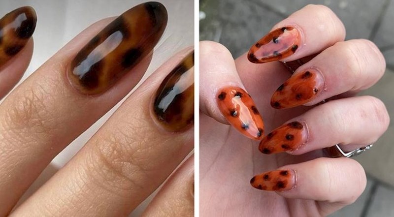 55 dolara bačenih u vjetar