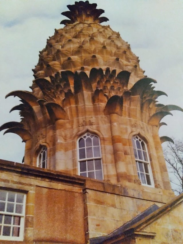 13. Kuća/ananas