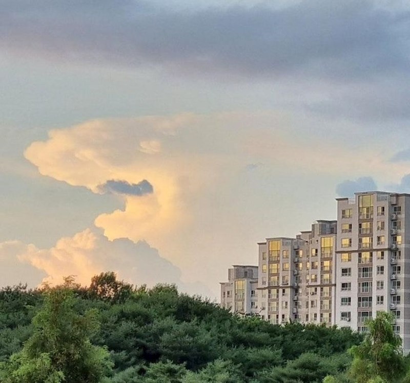 2. Velika bijela psina napada grad