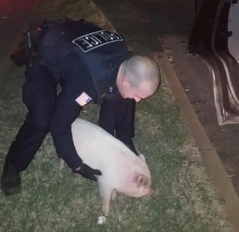 Kvart je upravo postao malo sigurniji