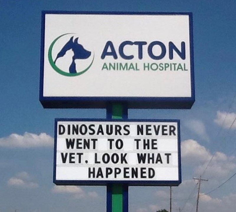 Dinosauri nikad nisu išli u veterinara i pogledajte što im se dogodilo