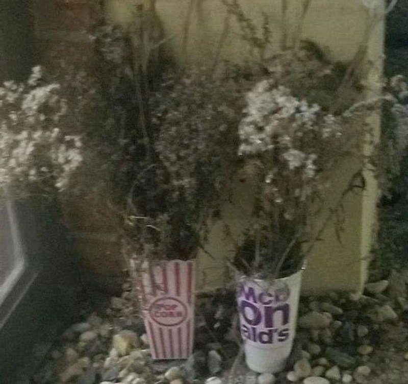 Fotkano u hotelu visoke klase!