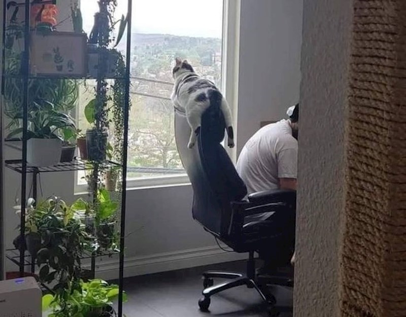 "Ovo joj je omiljena poza, satima je u stanju stajati ovako i gledati kroz prozor"