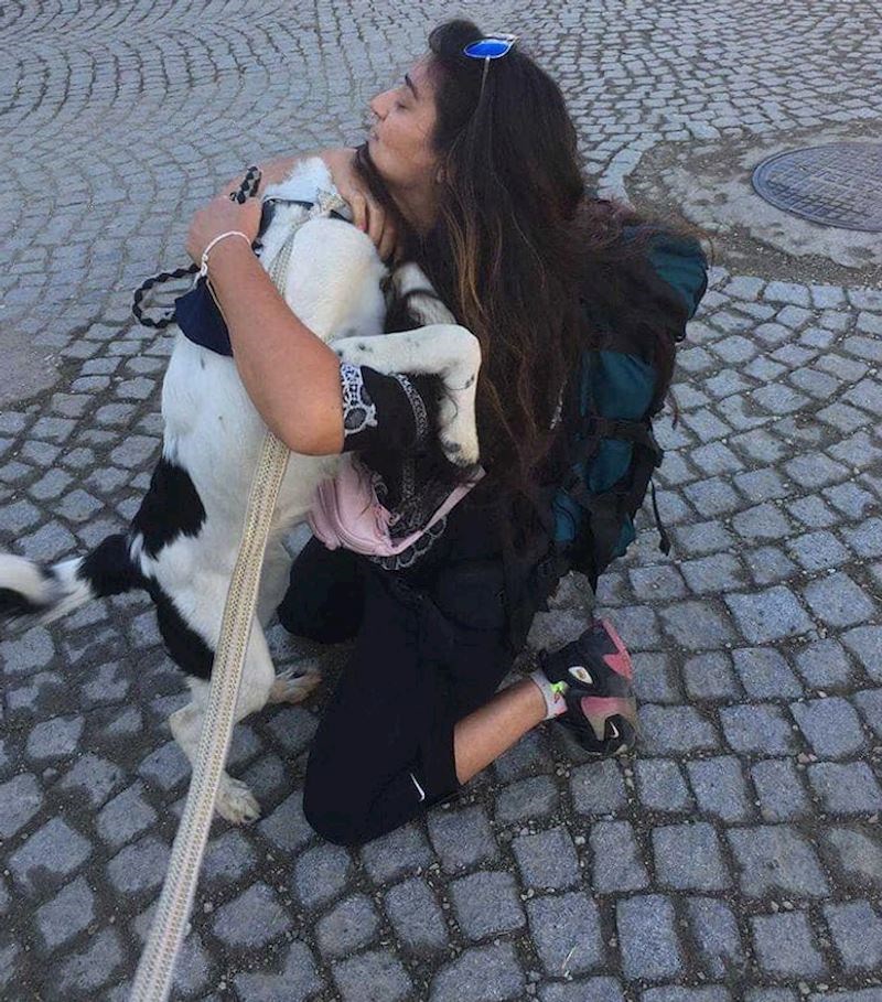 "Ove godine naš ljubimac se izgubio na 4 dana dok smo bili na odmoru. Ovo je fotka trenutka kada smo ga pronašli zahvaljujući lokalnom stanovništvu"