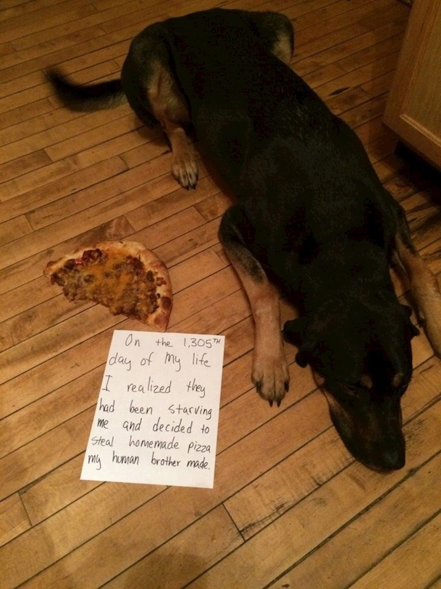 1305 dan života shvatio sam da me izgladnjuju i odlučio sam ukrasti pizzu koju je pripremao moj brat