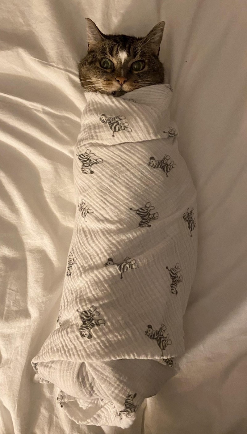 "Uskoro stiže prinova pa vježbam na našoj ljubimici"