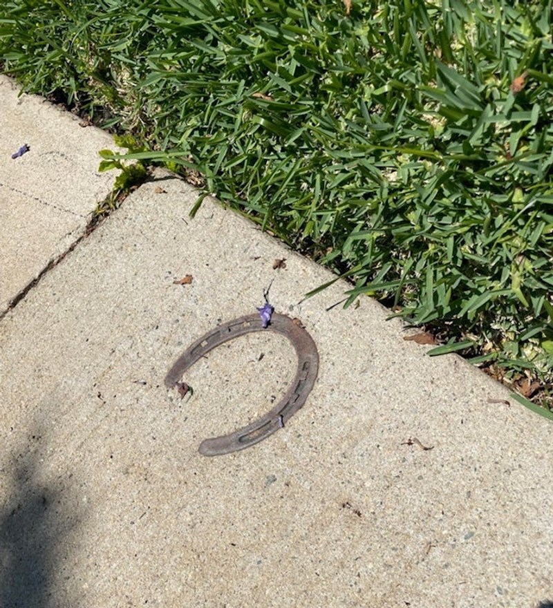 Je li ovo sretan znak? Pronađeno u jednom predgrađu, daleko od ikakvih konja...