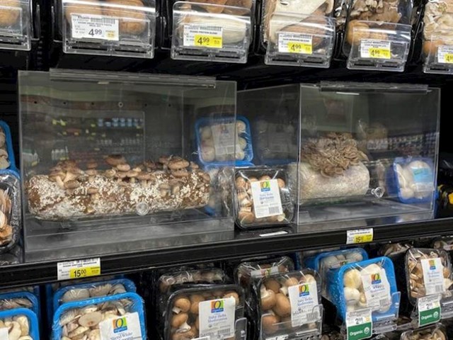 U ovoj trgovini uzgajaju neke od vrsta gljiva koje nude