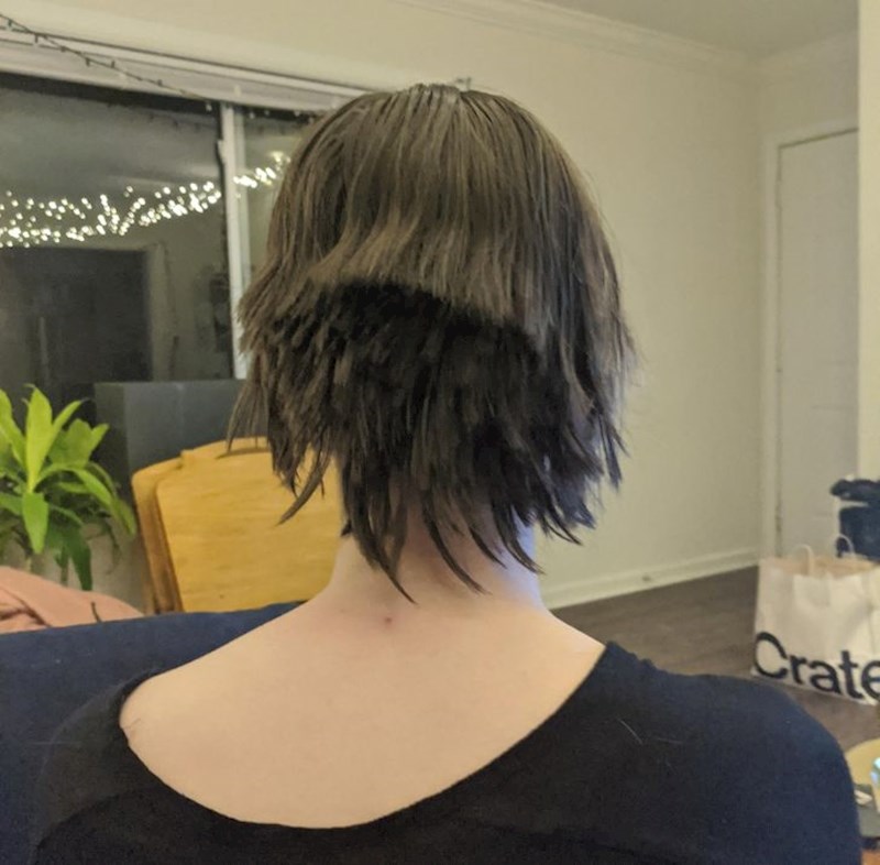 "Pogledala sam jedan youtube tutorijal i pomislila da mogu sama sebe ošišati"