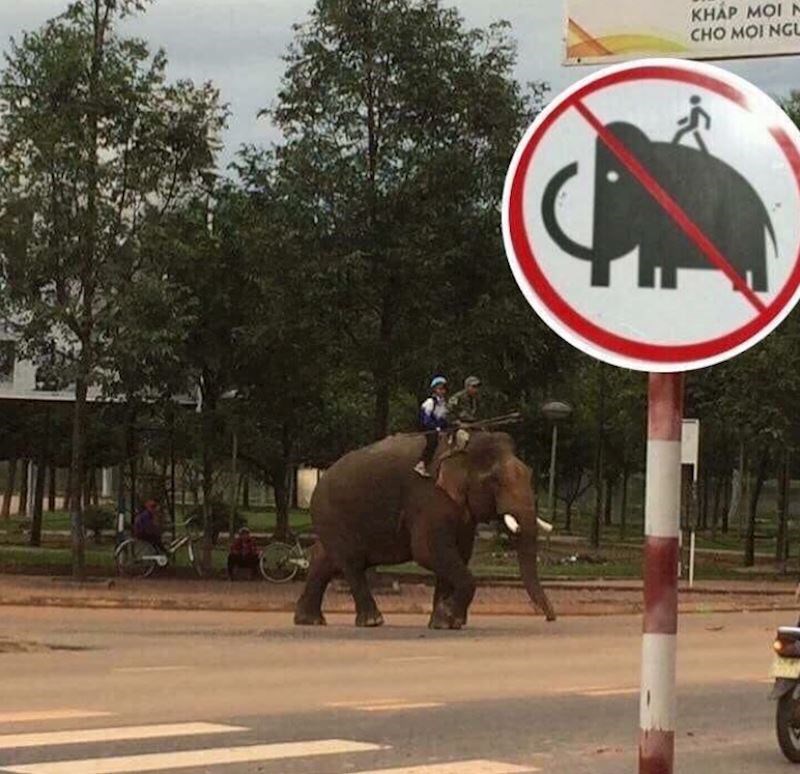 Nema nigdje zabrane sjedenja