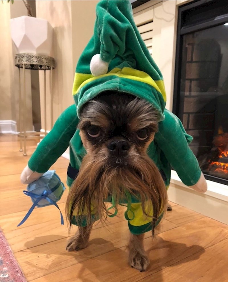 "Nikoga nećete zavarati ovim "smiješnim" kostimom"