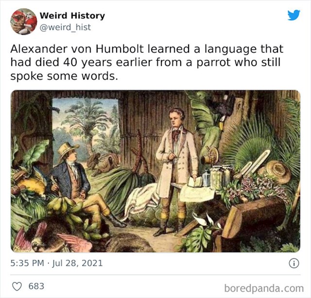 Tip je zahvaljujući papigi naučio jezik koji je izumro 40 godina ranije!
