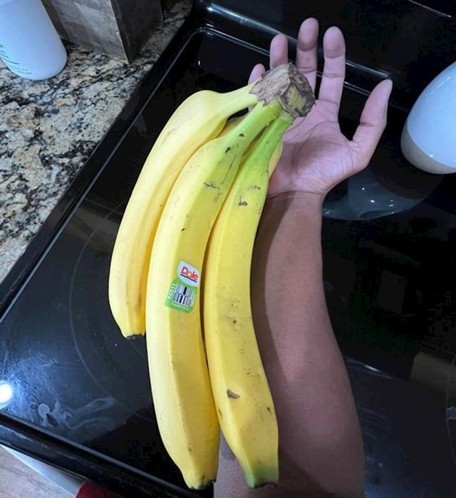 Gigantske banane veličine podlaktice odraslog čovjeka