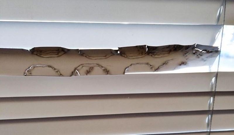 "Djeca su mi sažvakala rolete..."