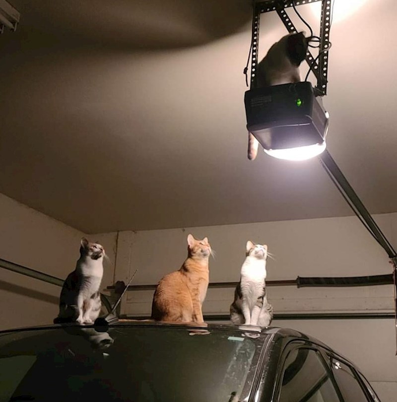 Kakvi se ovdje obredi događaju?