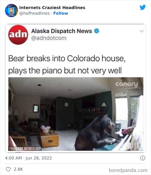 Medvjed provalio u kuću u Coloradu pa zasvirao klavir, ali ne baš dobro