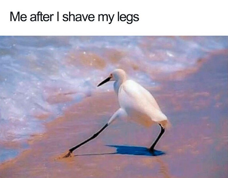 Moja poza kada konačno izdepiliram noge