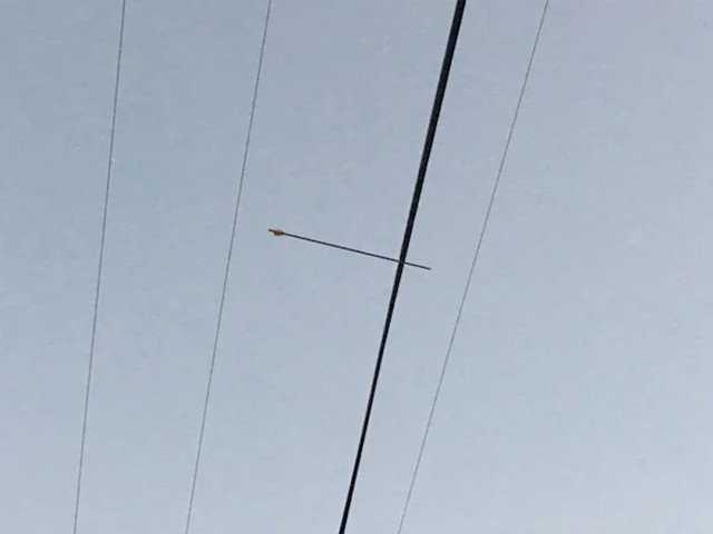 Netko je strijelom pogodio kabel od struje