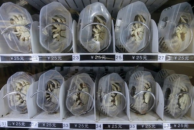 Automati koji prodaju rakove