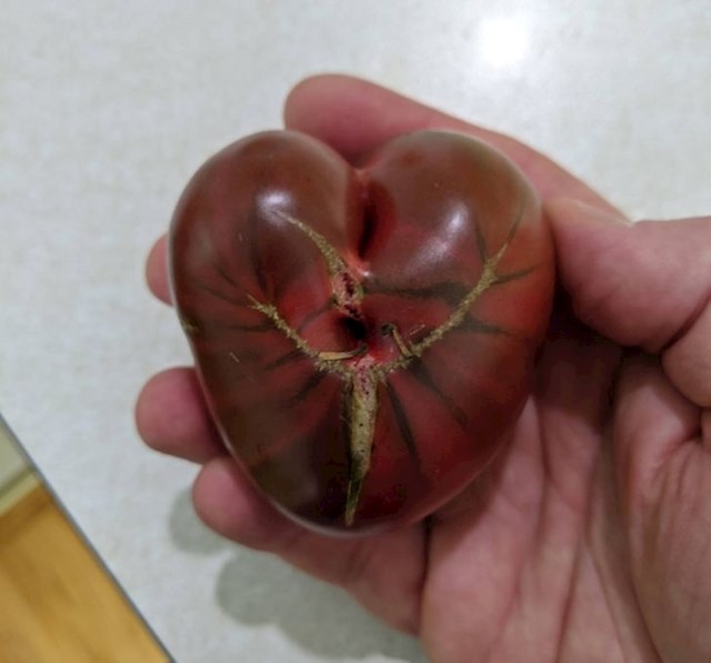 17. Rajčica ili srce?