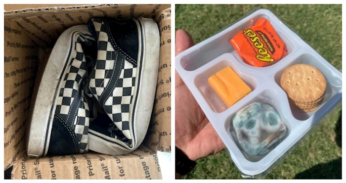 17 pehista podijelilo je scene koje su im pokvarile dan, poželjet ćete ih zagrliti