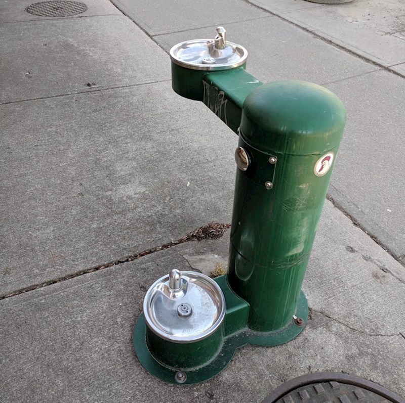 Postaja za osvježenje ima i nastavak za pse