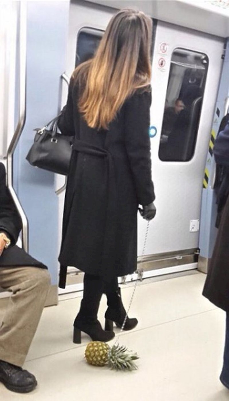 Puno pitanja, nijedan odgovor