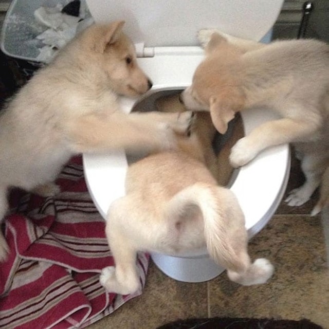 3.