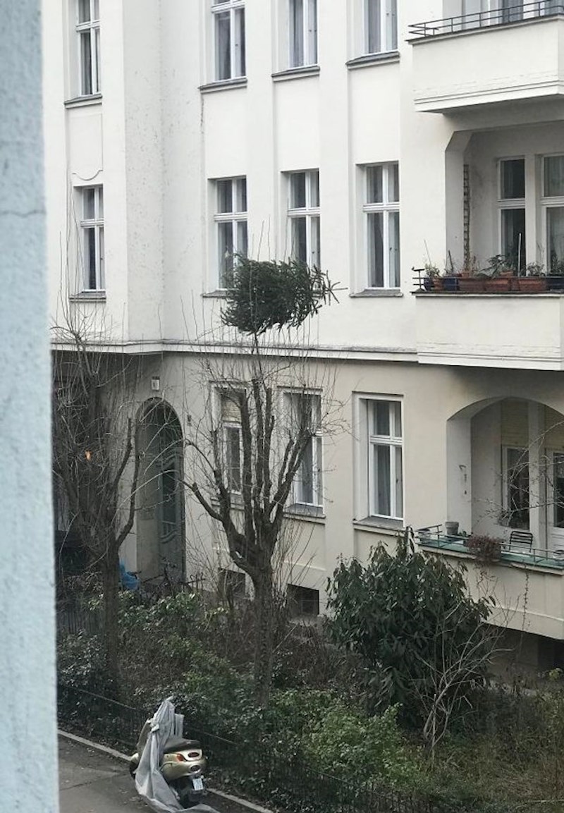 Netko se pokušao riješiti jelke bacivši je kroz prozor, ali su mu se planovi malo poremetili